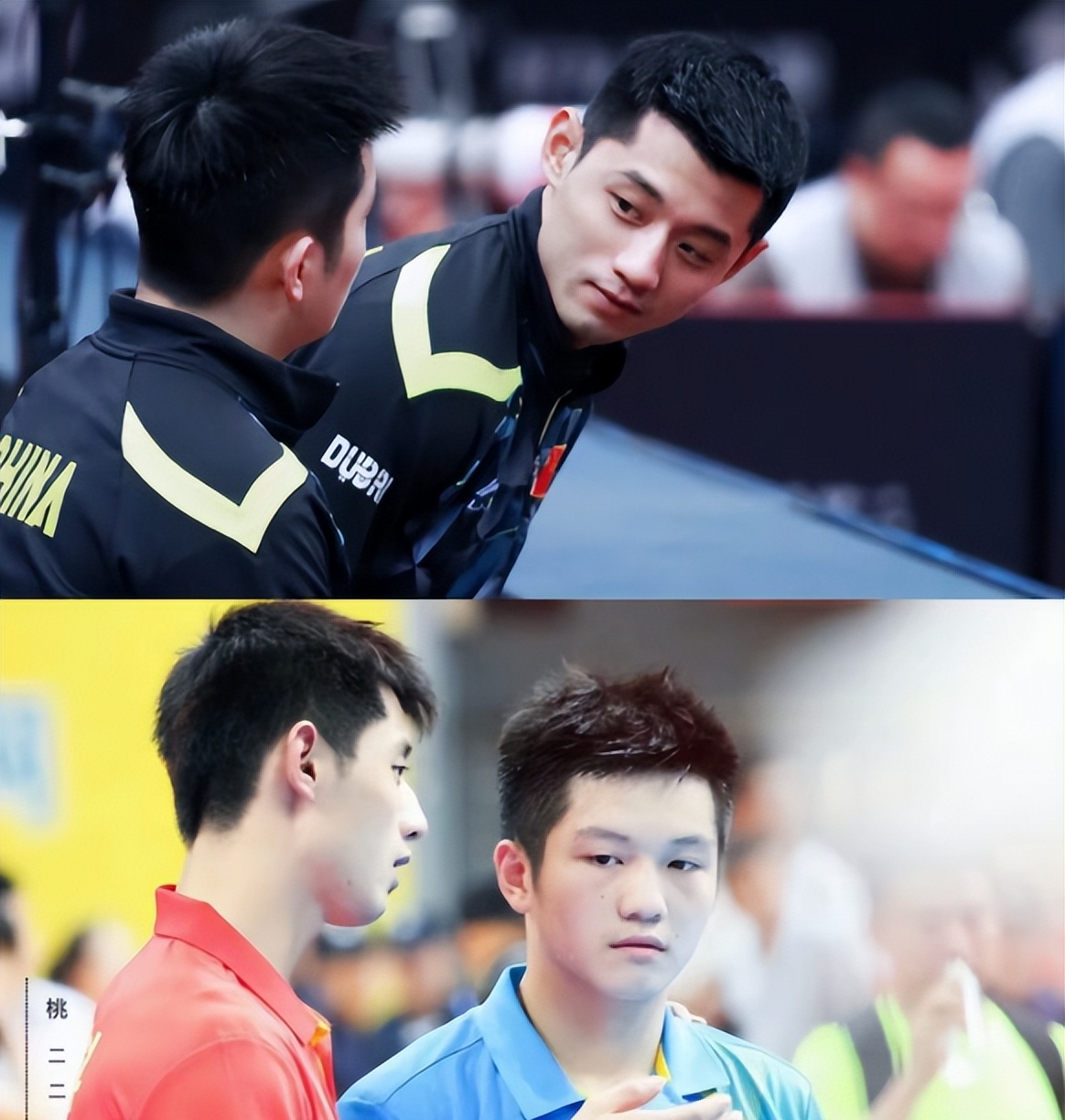 包含葡萄牙队鏖战韩国队，张继科统治全场的词条