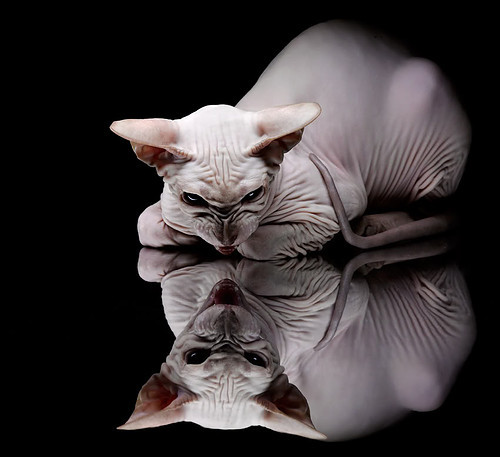 改写剧本，郑思维领军的韩国队，如何以颠覆性战术完胜泰国劲旅？