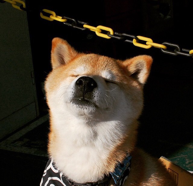 爱游戏在线-唯一的锁，当乔治在季后赛之夜让世界寂静