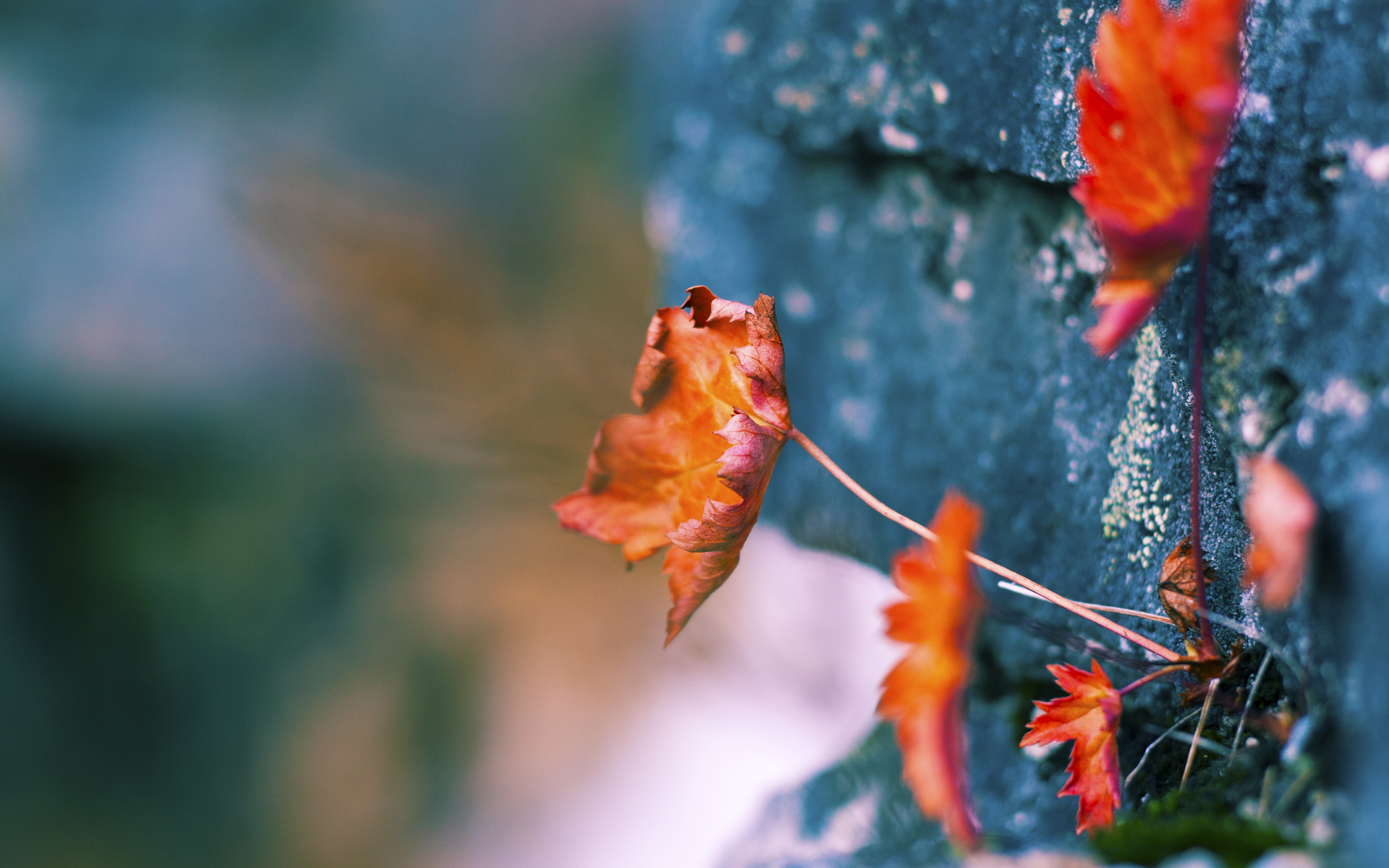 平行时空的一夜，当贝林厄姆成为大场面先生，葡萄牙提前终结希腊神话悬念