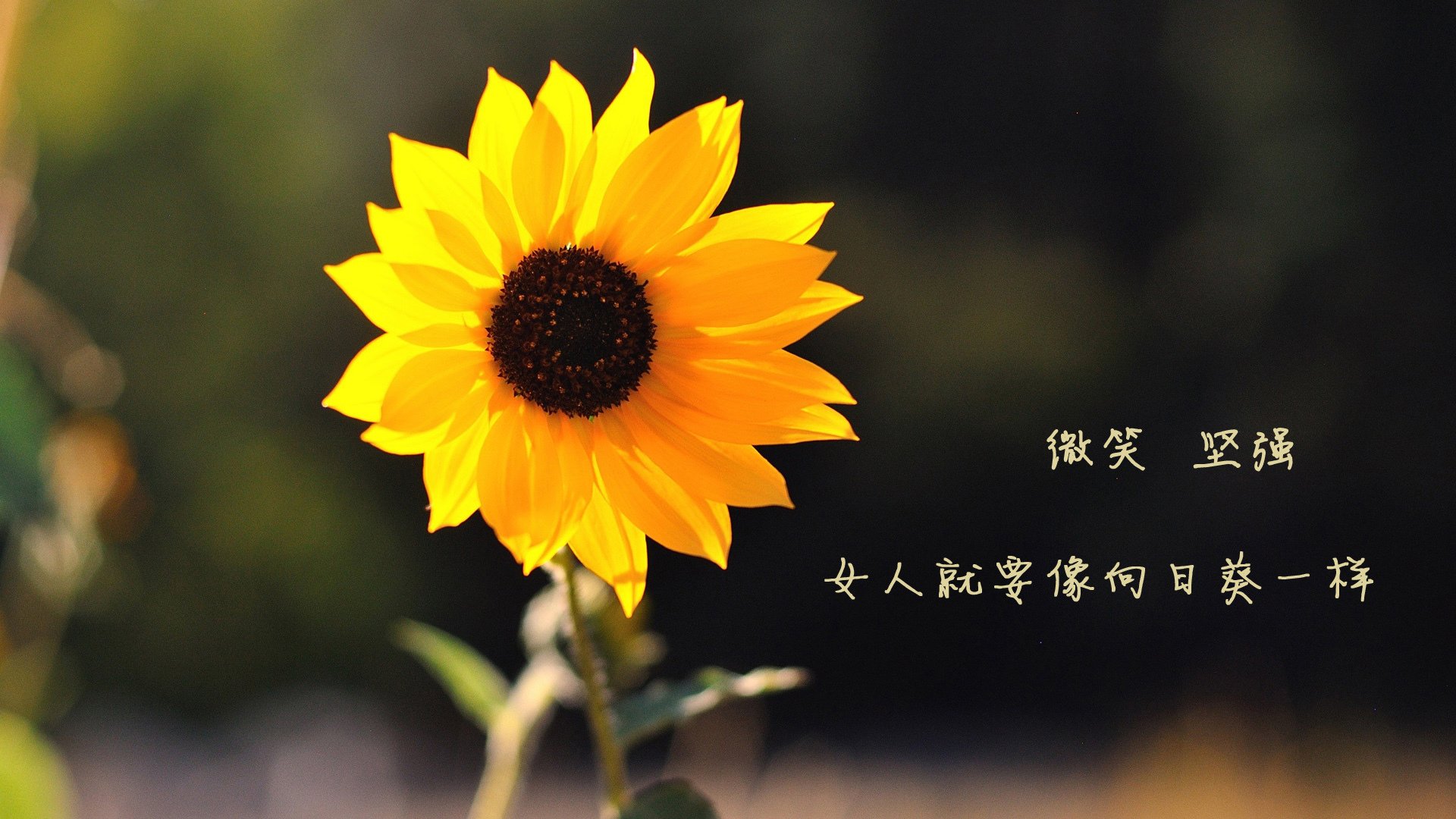 爱游戏在线-平行时空的交叉点，当班凯罗在欧冠半决赛之夜打出冠军级表现