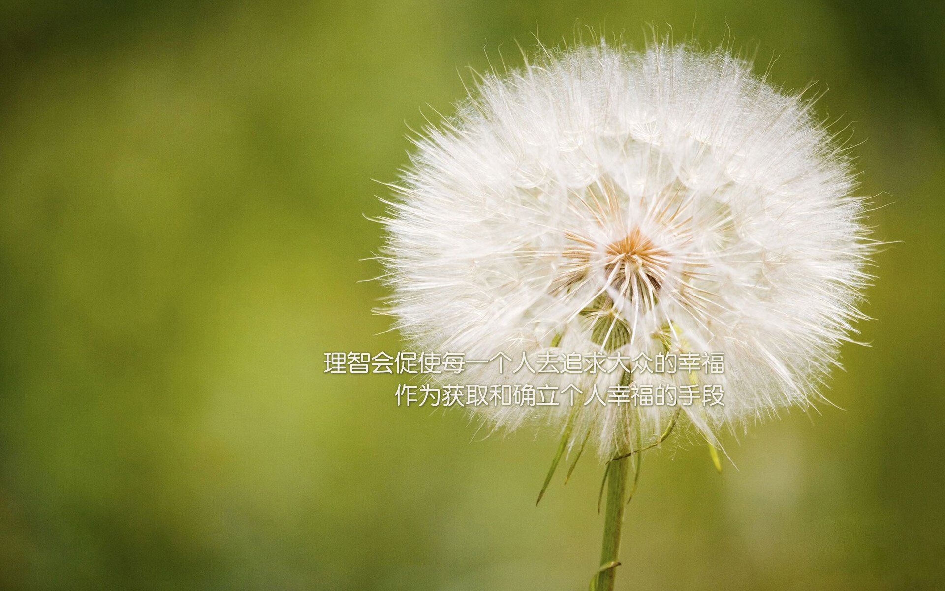 爱游戏在线-从卡尔德隆到北美之巅，格列兹曼的双重征服