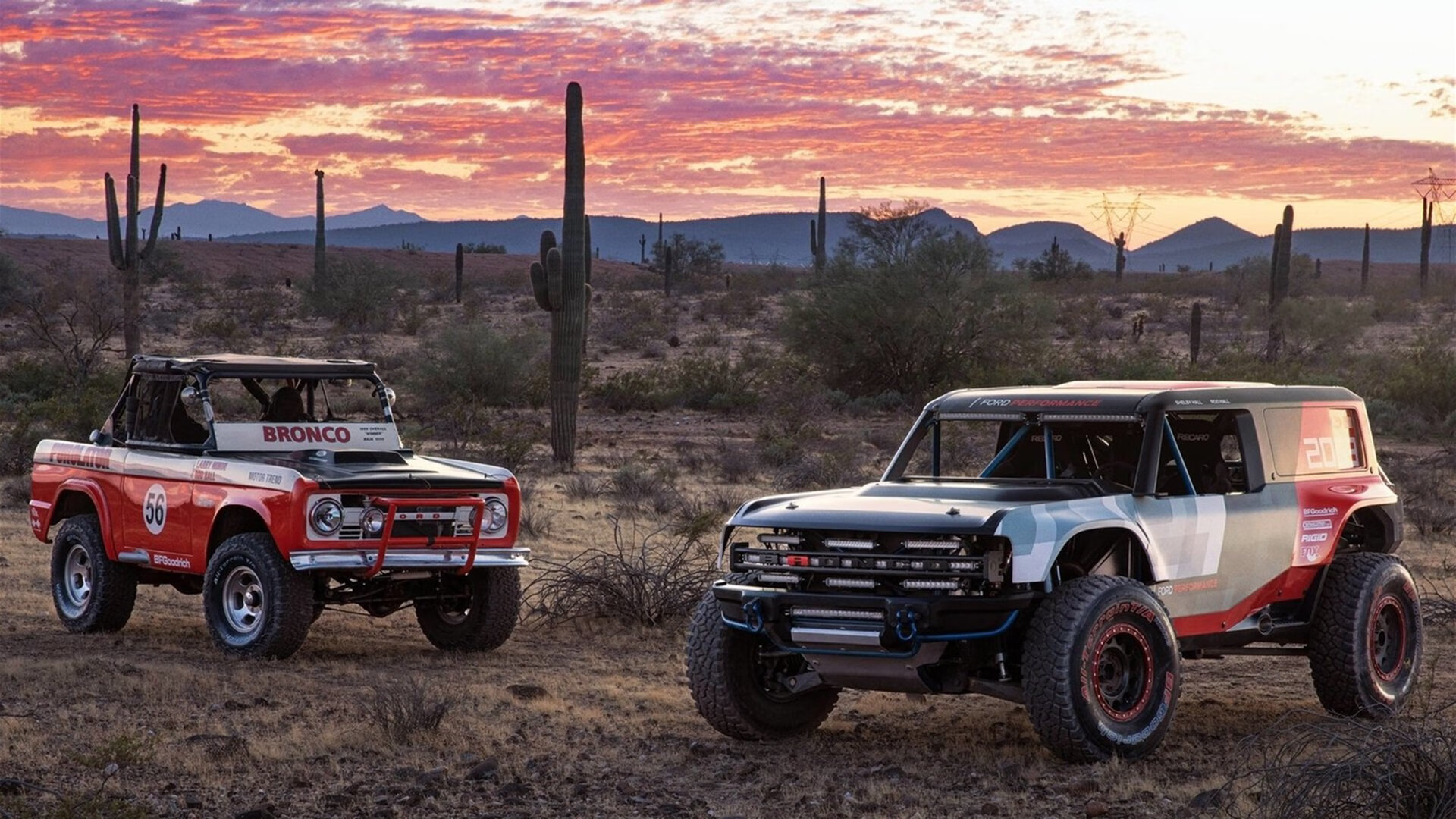 鹰击南粤！戈贝尔化身巨灵神，老鹰以铁血防守压制广东华丽攻势