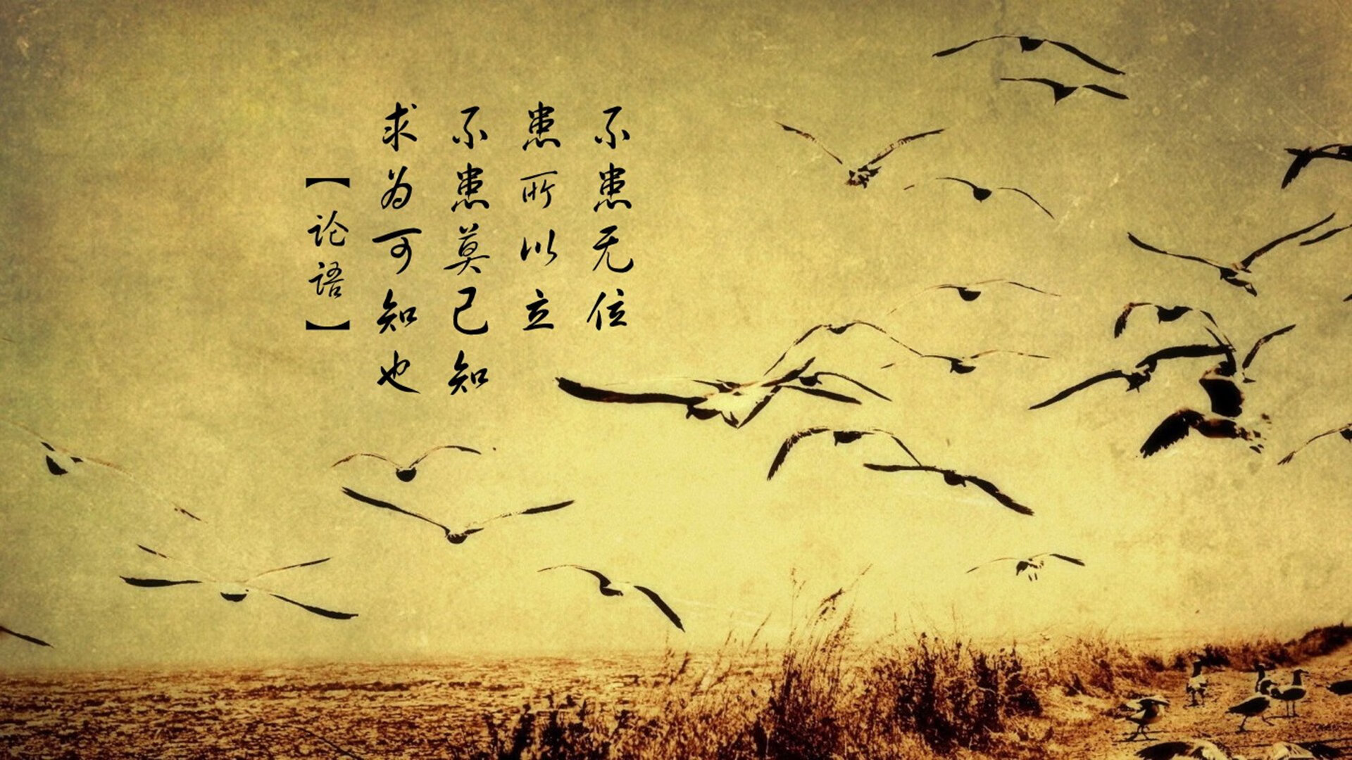 爱游戏tv-奇兵断刃，乾坤一掷，切特·霍姆格伦的冰冷绝杀如何斩断骑士最后的骄傲