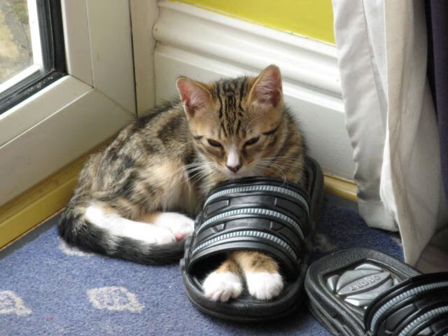 爱游戏下载-绿茵交响诗，当西甲国家德比遇见巴西节奏掌控拜仁的足球哲学