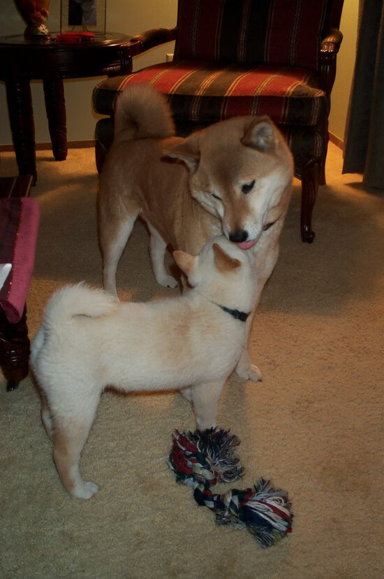 当凯恩穿上红色,一场友谊赛如何揭示了现代足球的终极答案