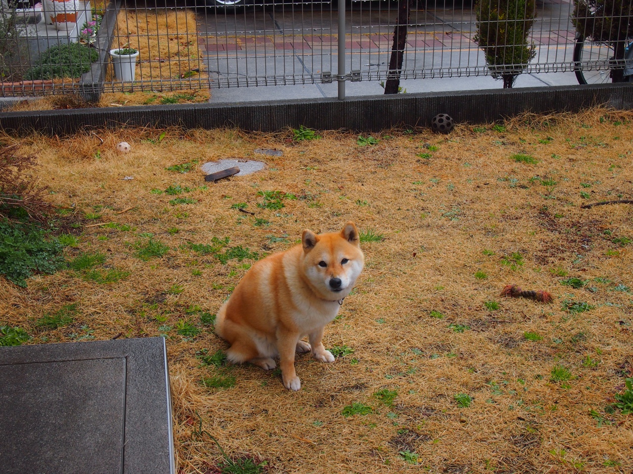 范弗利特,从地心涌出的烈火,如何焚毁掘金的高原堡垒?