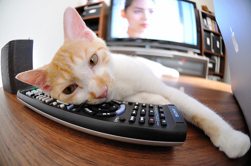 爱游戏入口-教科书之夜，杰伦·格林七记三分撕碎防线，灰熊团队篮球完美诠释何为强势