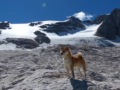 爱游戏大厅-从逆转绝杀到末节封神，克瓦拉茨赫利亚如何用14分钟征服世界