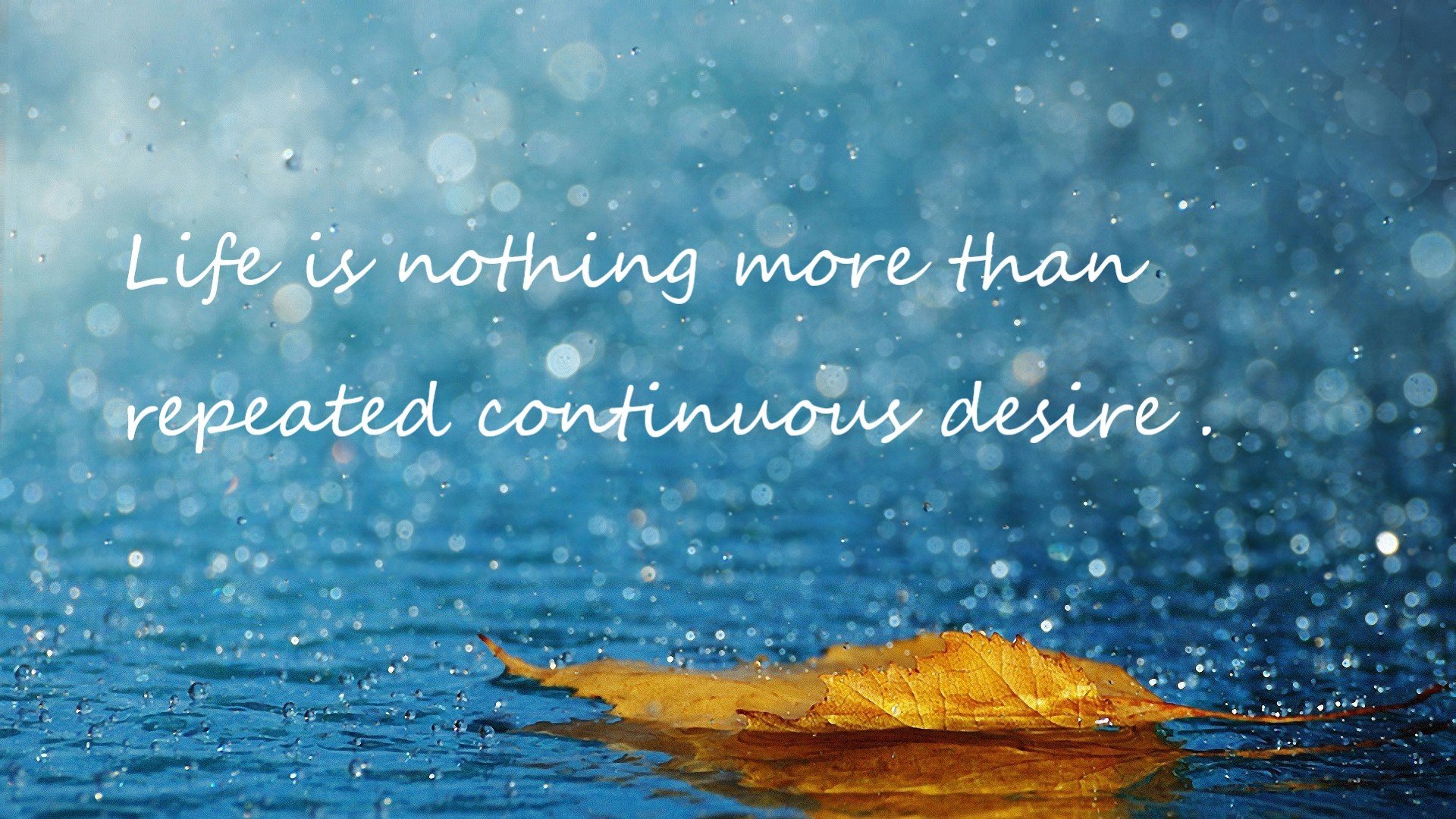 强行终结的宿命,福克斯爆发的夜晚与马刺的沉默宣言