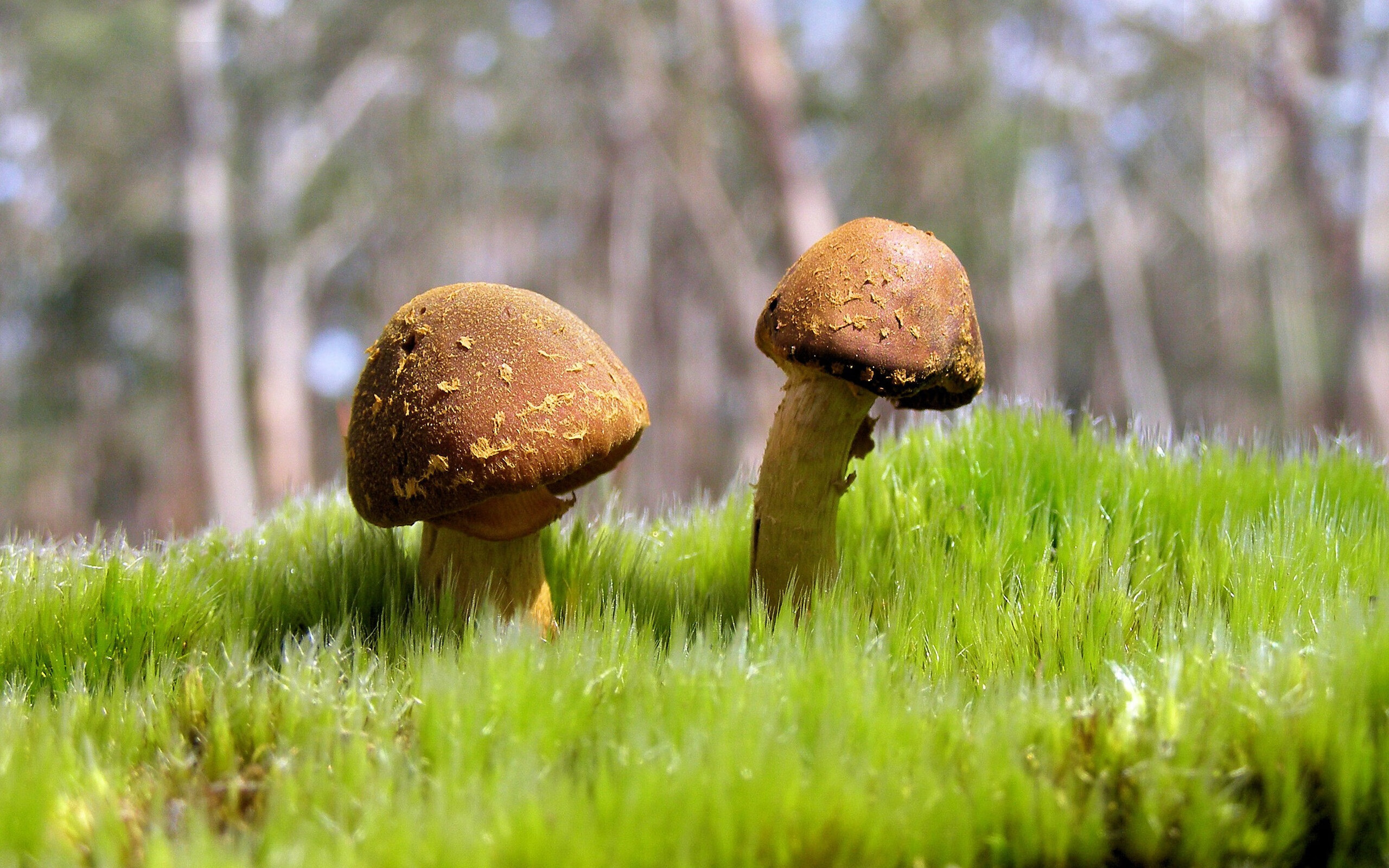 爱游戏-欧冠半决赛之夜，最重一卸，最长一传，凯塞多的永恒一分钟